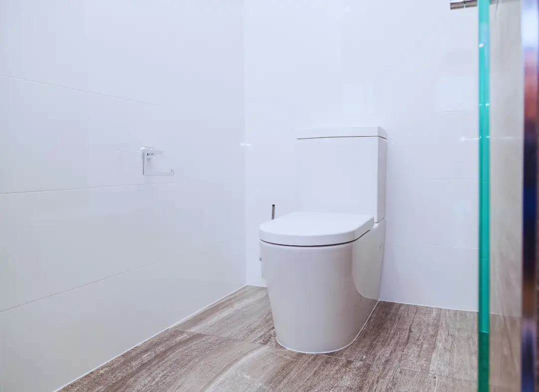 Remplacement de wc Camon