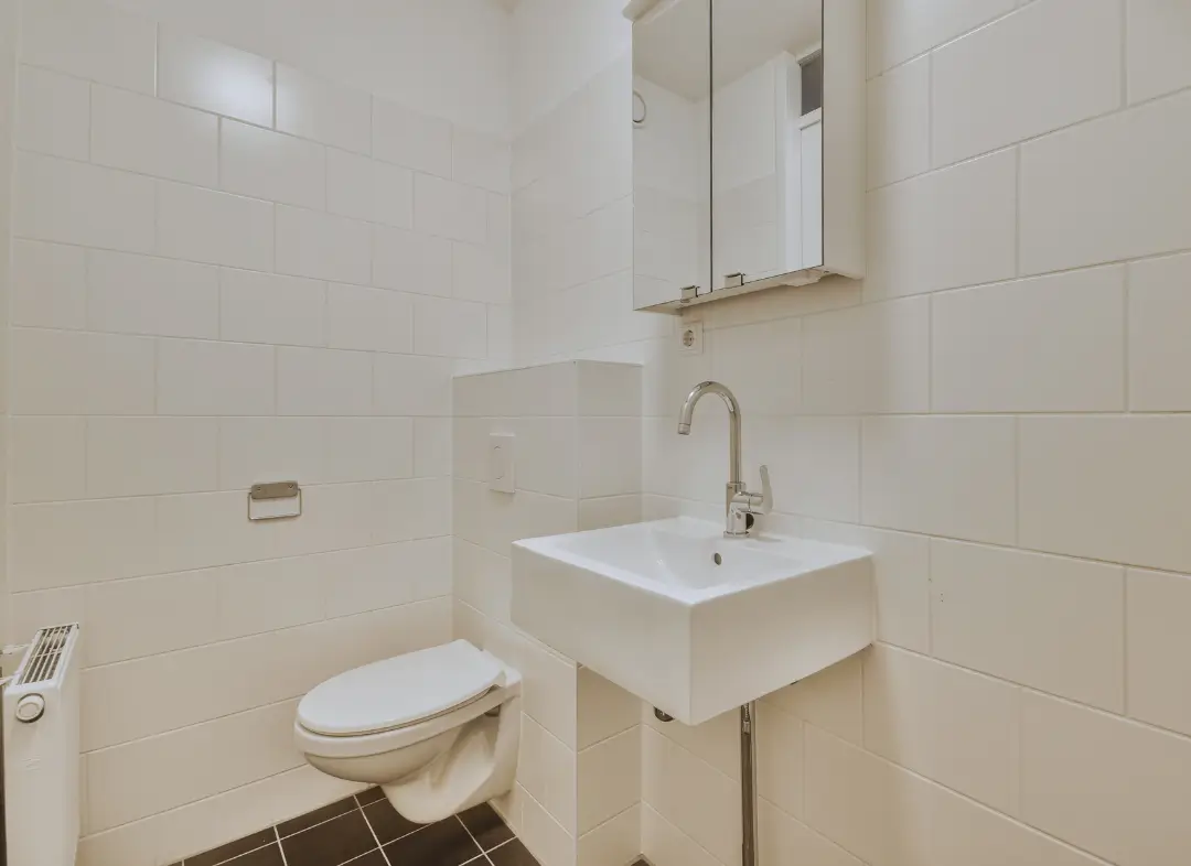 Pose WC Suspendu Camon